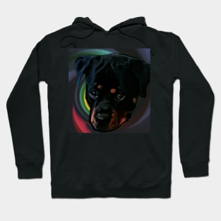 Rottweiler my best friend Hoodie